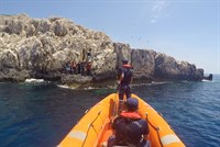 09.06.2020 Kaş